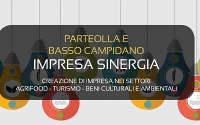 Impresa Sinergia